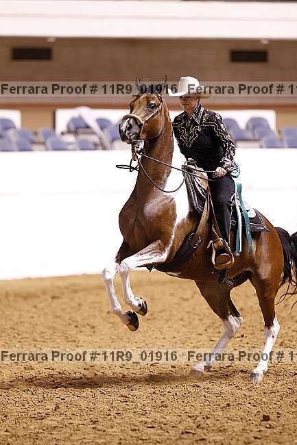 Proof 11r9_01916