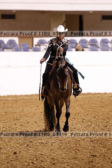 Proof 11r9_01919