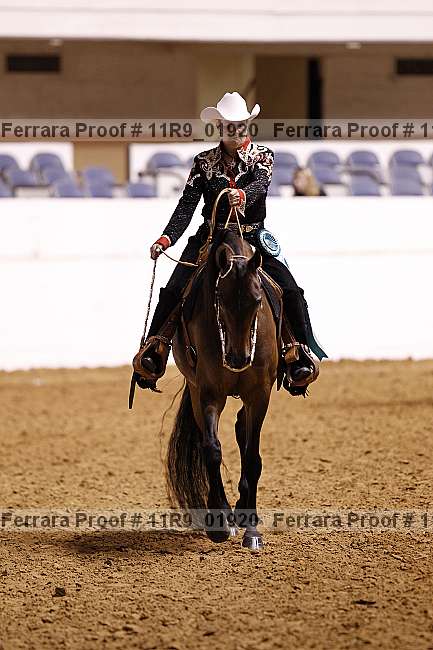 Proof 11r9_01920