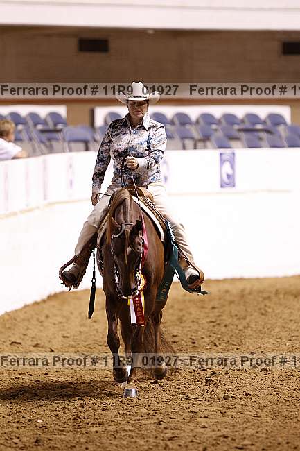 Proof 11r9_01927