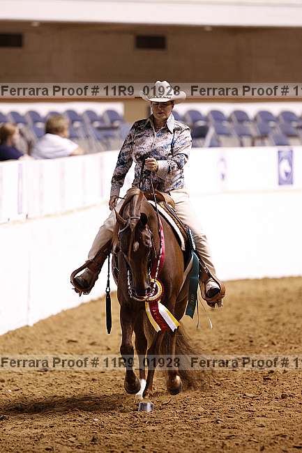 Proof 11r9_01928