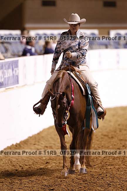 Proof 11r9_01929