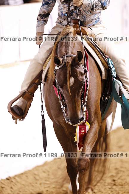 Proof 11r9_01933