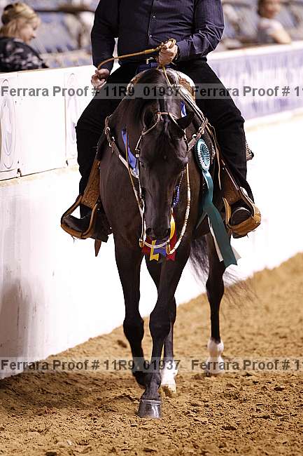 Proof 11r9_01937