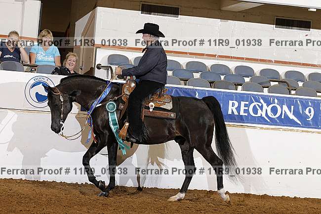 Proof 11r9_01938