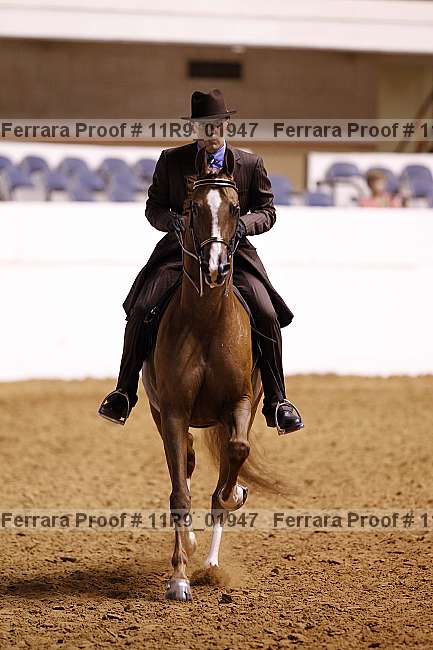 Proof 11r9_01947