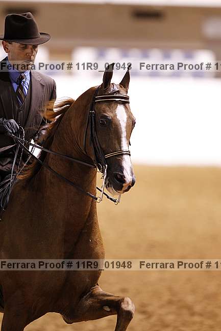 Proof 11r9_01948