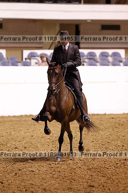 Proof 11r9_01953