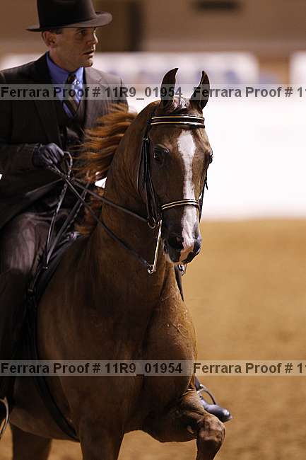 Proof 11r9_01954