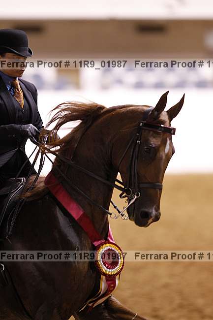 Proof 11r9_01987