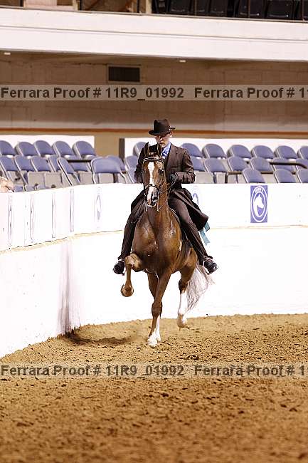 Proof 11r9_01992