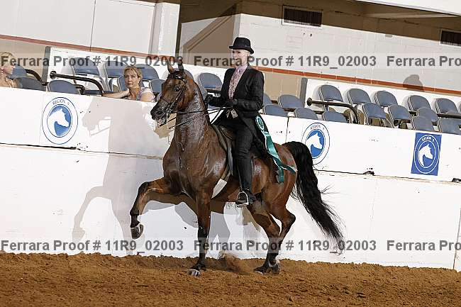 Proof 11r9_02003