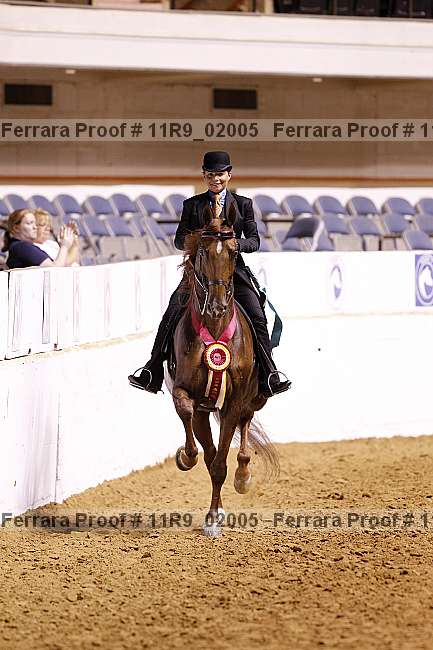 Proof 11r9_02005