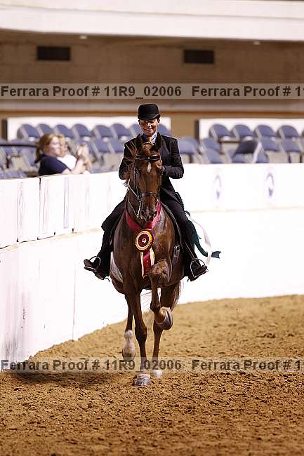 Proof 11r9_02006