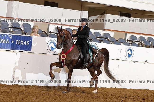 Proof 11r9_02008