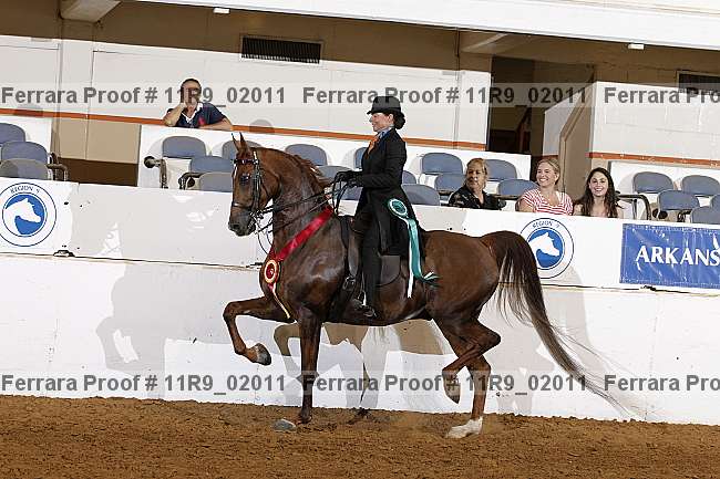 Proof 11r9_02011