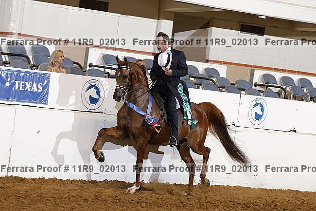 Proof 11r9_02013