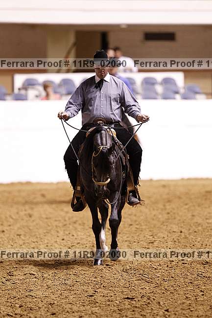 Proof 11r9_02030