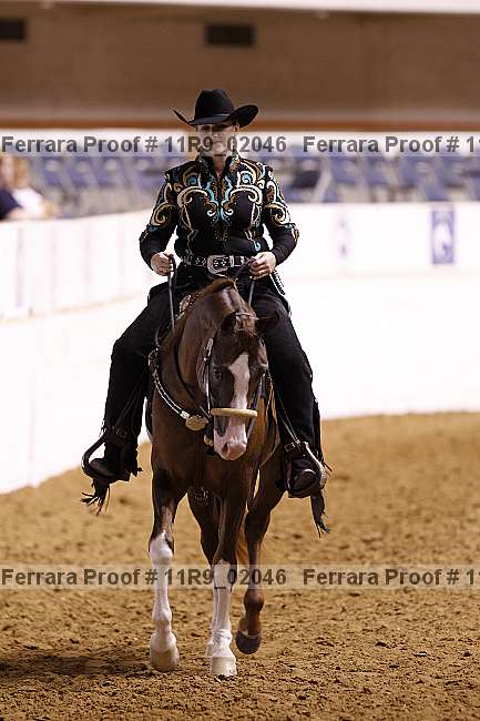 Proof 11r9_02046