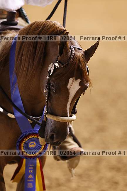Proof 11r9_02054