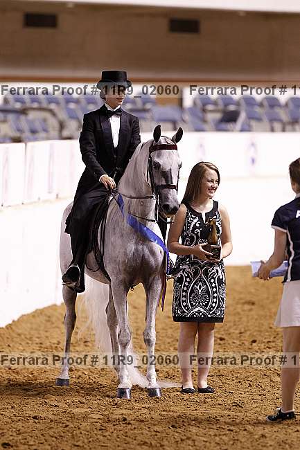 Proof 11r9_02060