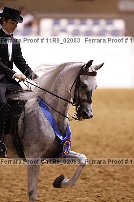 Proof 11r9_02063