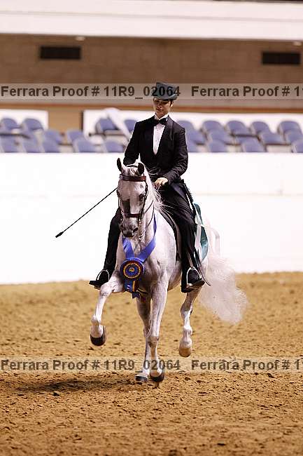 Proof 11r9_02064