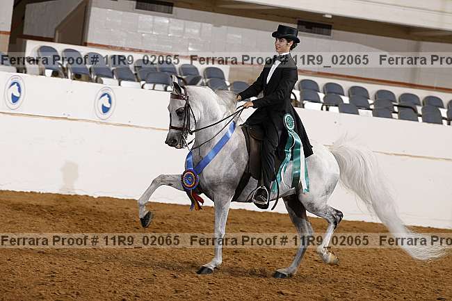Proof 11r9_02065