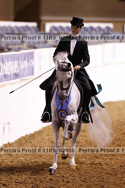 Proof 11r9_02066