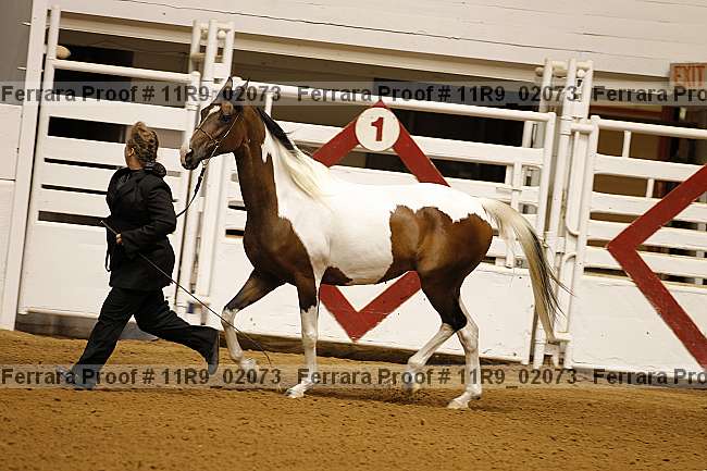 Proof 11r9_02073