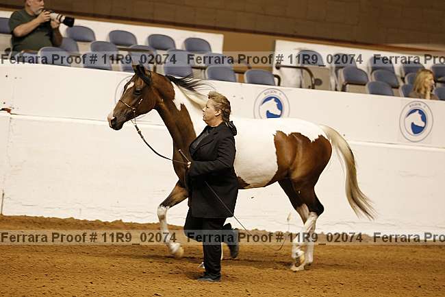 Proof 11r9_02074