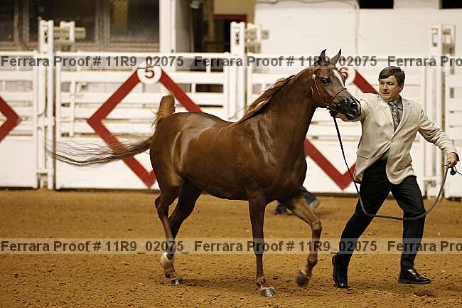 Proof 11r9_02075