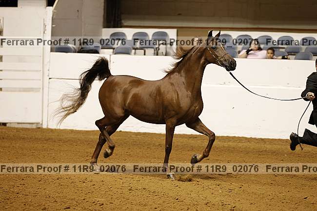 Proof 11r9_02076