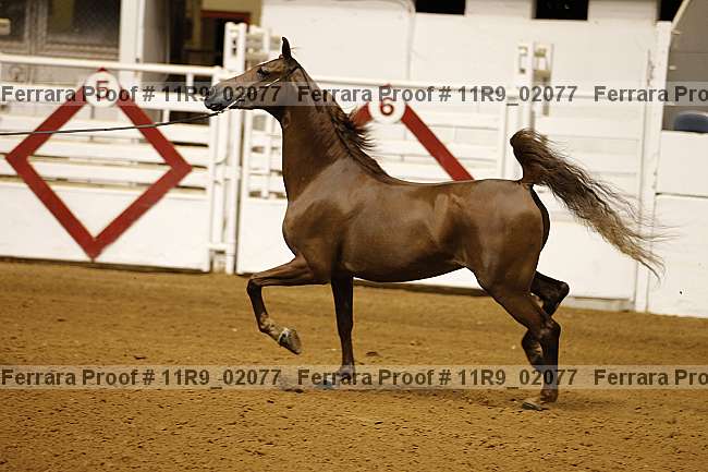Proof 11r9_02077