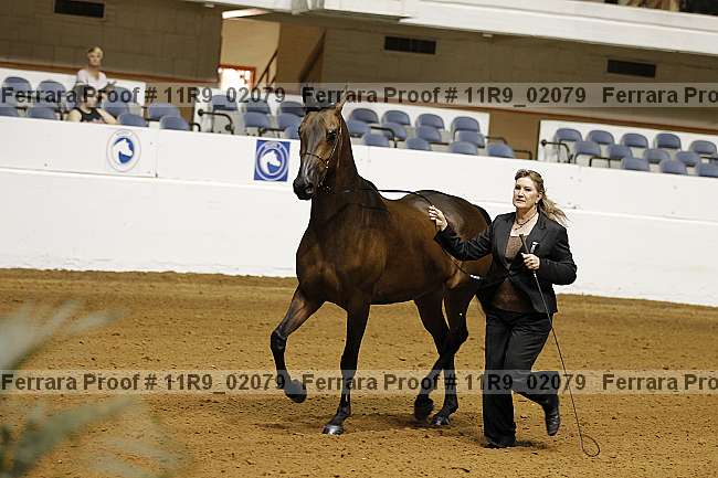 Proof 11r9_02079
