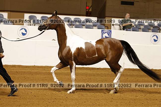 Proof 11r9_02082