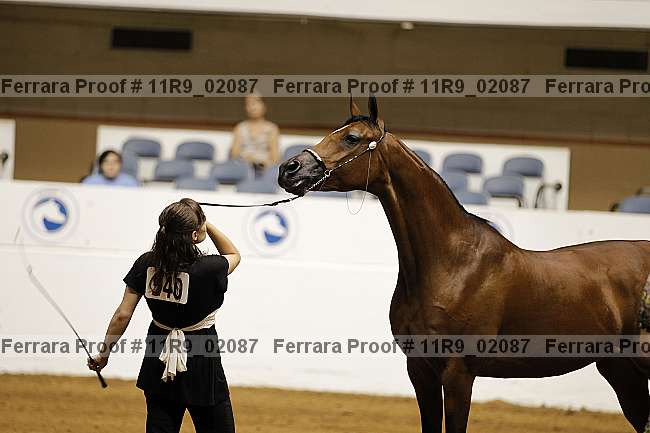 Proof 11r9_02087