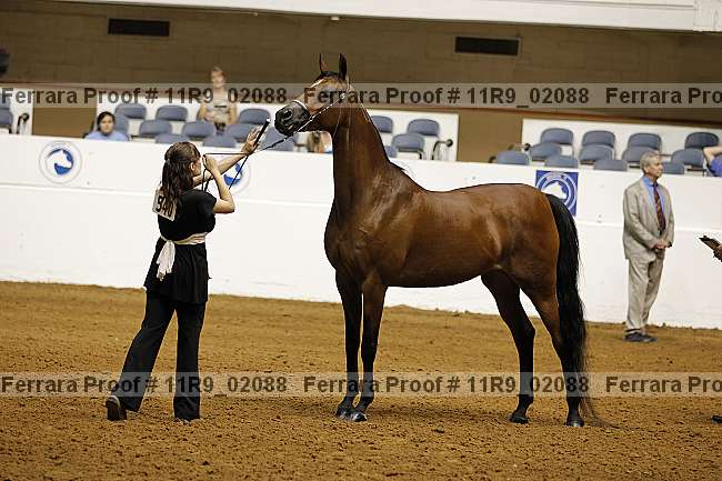 Proof 11r9_02088
