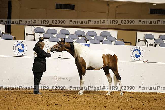 Proof 11r9_02090