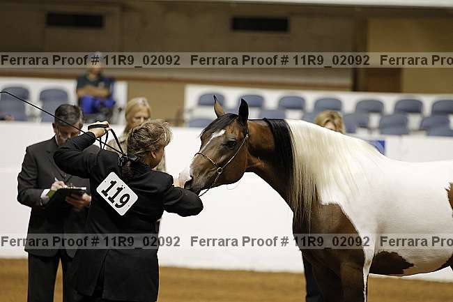 Proof 11r9_02092