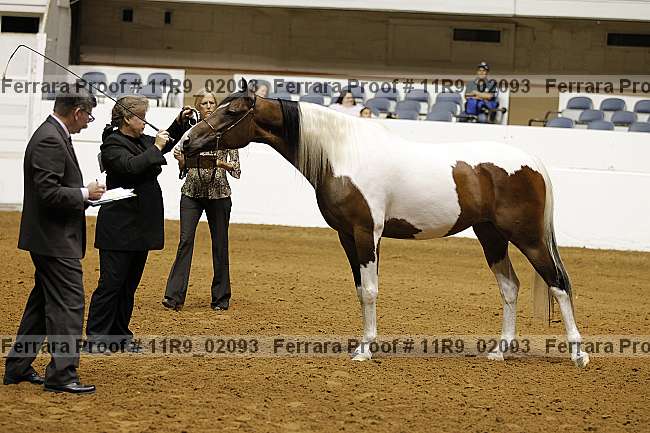 Proof 11r9_02093