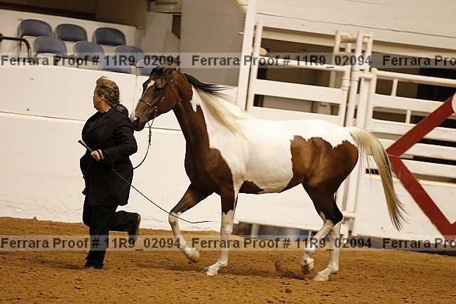 Proof 11r9_02094