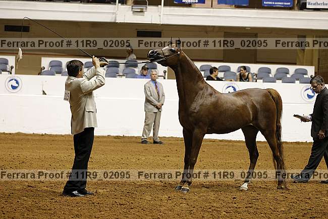 Proof 11r9_02095