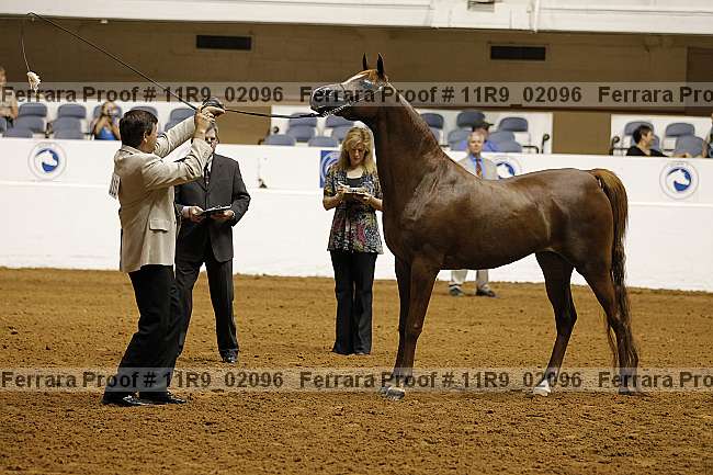 Proof 11r9_02096