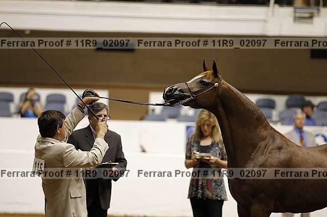 Proof 11r9_02097
