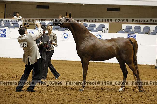 Proof 11r9_02099