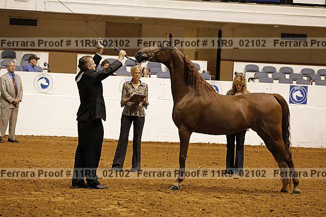 Proof 11r9_02102