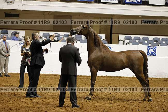 Proof 11r9_02103