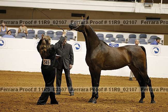 Proof 11r9_02107