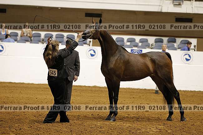 Proof 11r9_02108